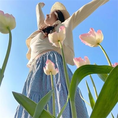 纸钞屋：柏林